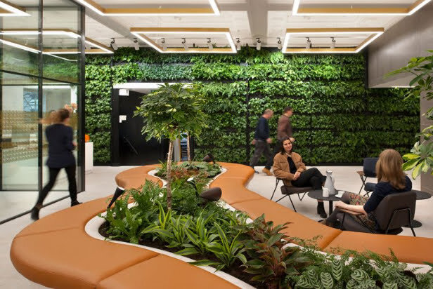 Design Biofílico: Conectando-se com a Natureza em seu Projeto de Arquitetura